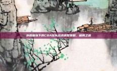 外援困境下的CBA球队战术调整策略，破局之道