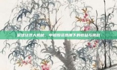 足球经济大揭秘，中超投资热潮下的收益与挑战