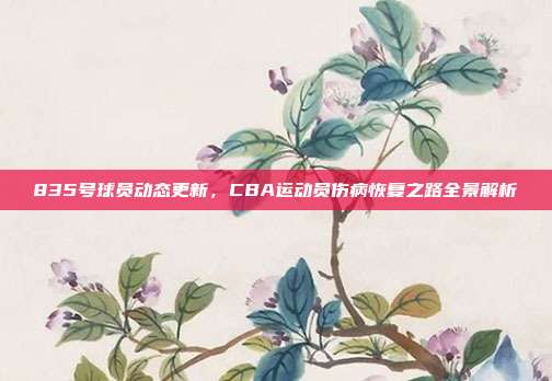 835号球员动态更新，CBA运动员伤病恢复之路全景解析