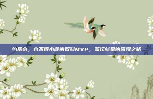 约基奇，容不得小觑的双料MVP，篮坛新星的闪耀之路