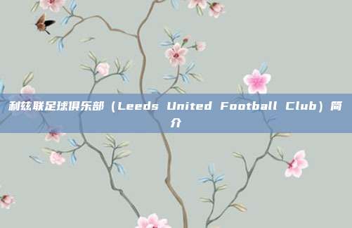 利兹联足球俱乐部（Leeds United Football Club）简介