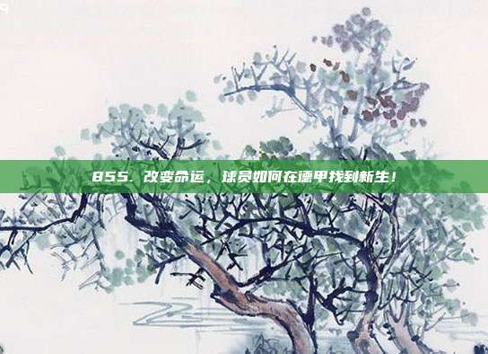 855. 改变命运，球员如何在德甲找到新生！